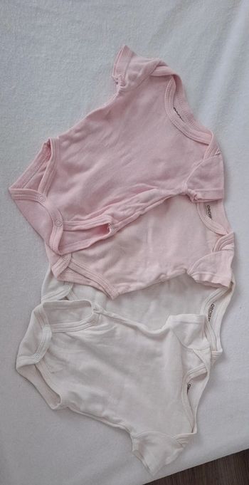 Lot bodies manches courtes