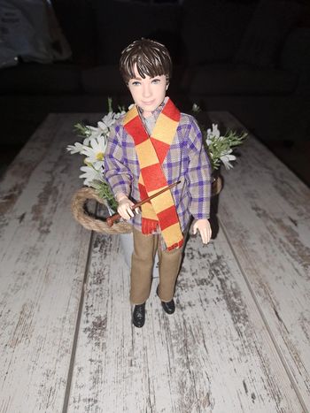 Poupée harry potterr
