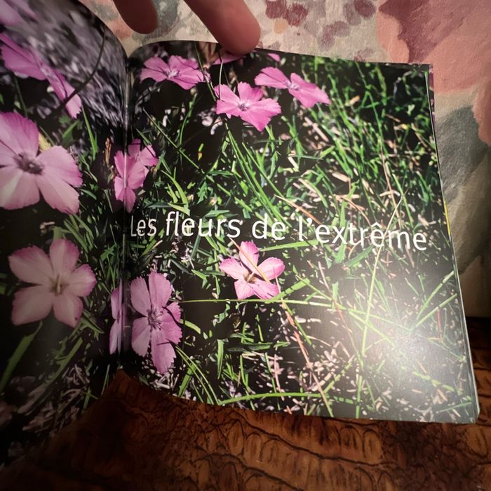 Les fleurs 1001 photos - photo numéro 3