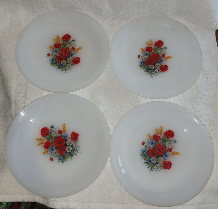 Lot de 4 assiettes à dessert Arcopal coquelicot