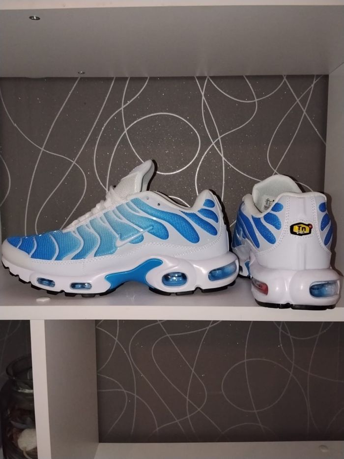 TN bleu - photo numéro 5