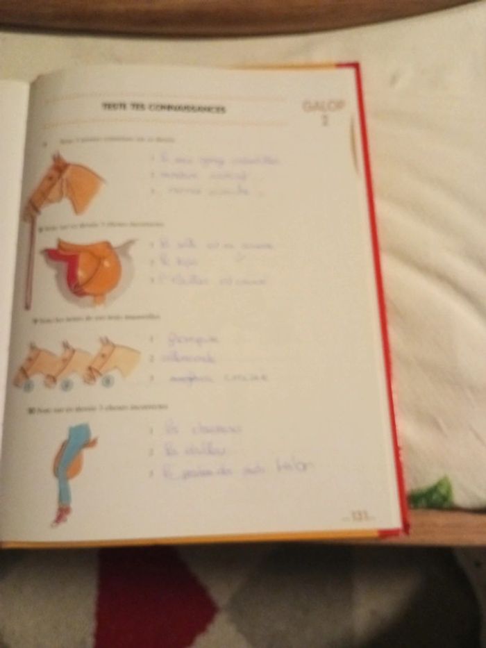 Livres galops 1 à 4/ galops 5 et 6/ Galops 1 à 4 questions réponses - photo numéro 7