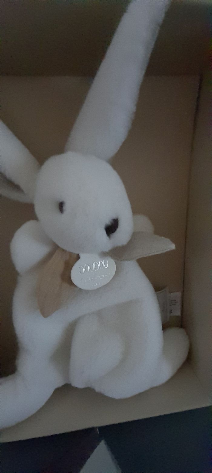 Lapin happy wild neuf - photo numéro 3