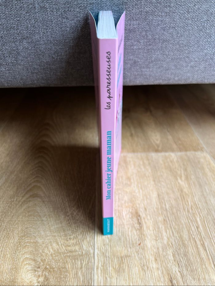 Livre « Les Paresseuses Mon cahier de jeune maman » - photo numéro 3