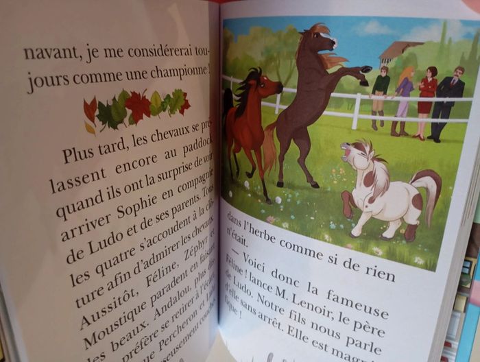 Mes amis les chevaux, tome 3 : Un choix difficile - photo numéro 3