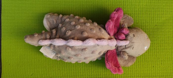 Dragon noukie's - photo numéro 4