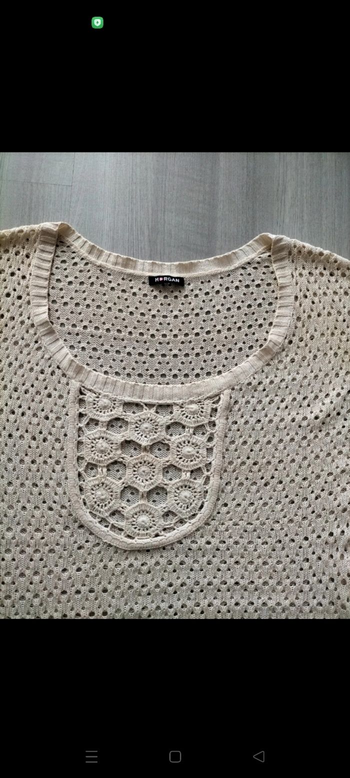 Top Morgan - photo numéro 4