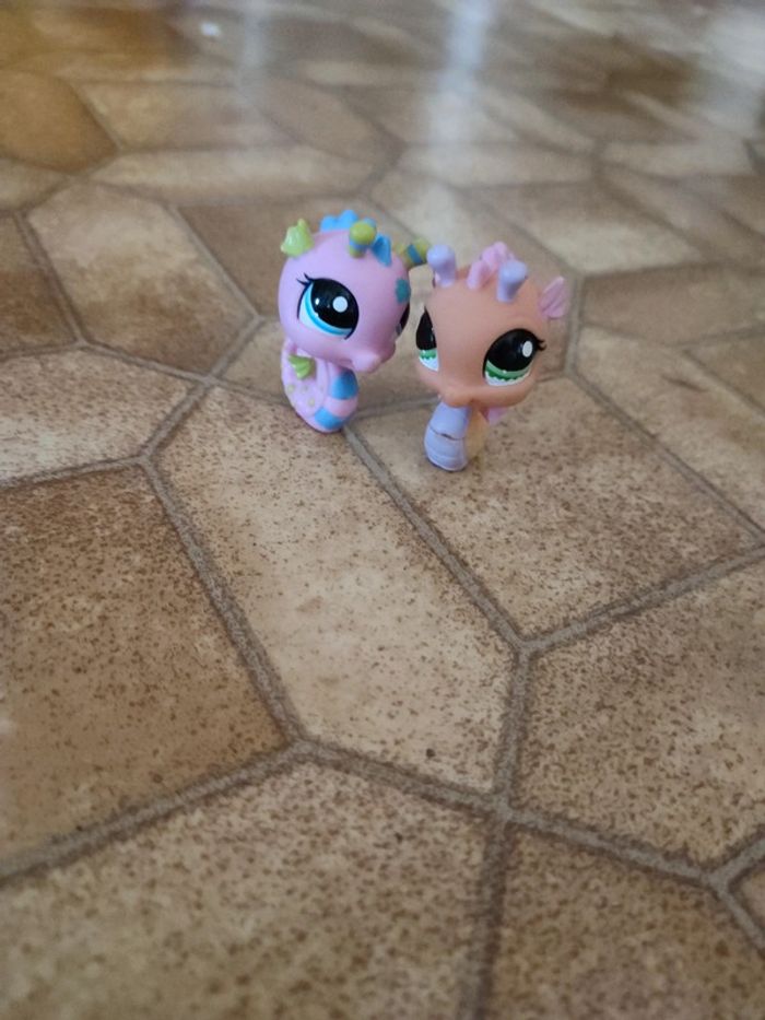 Figurines petshop hippocampe