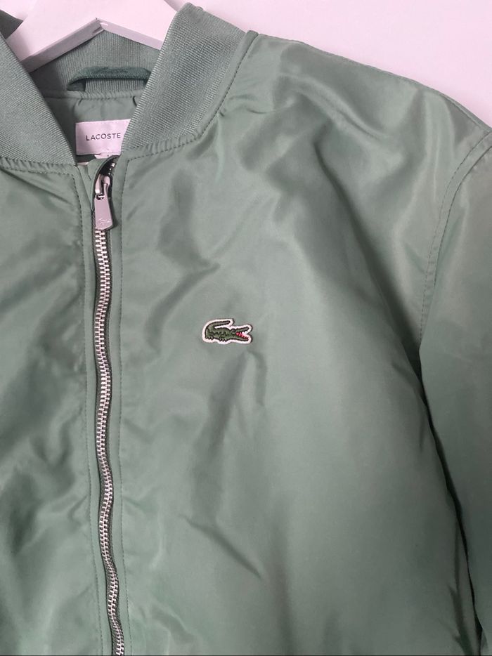 Bombers Lacoste enfant - photo numéro 5
