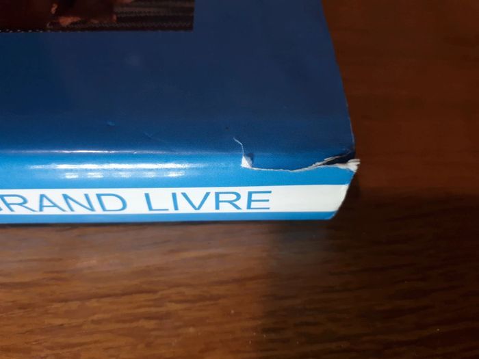 Livre Les chats - photo numéro 6