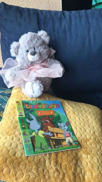 Livre les copains de la forêt