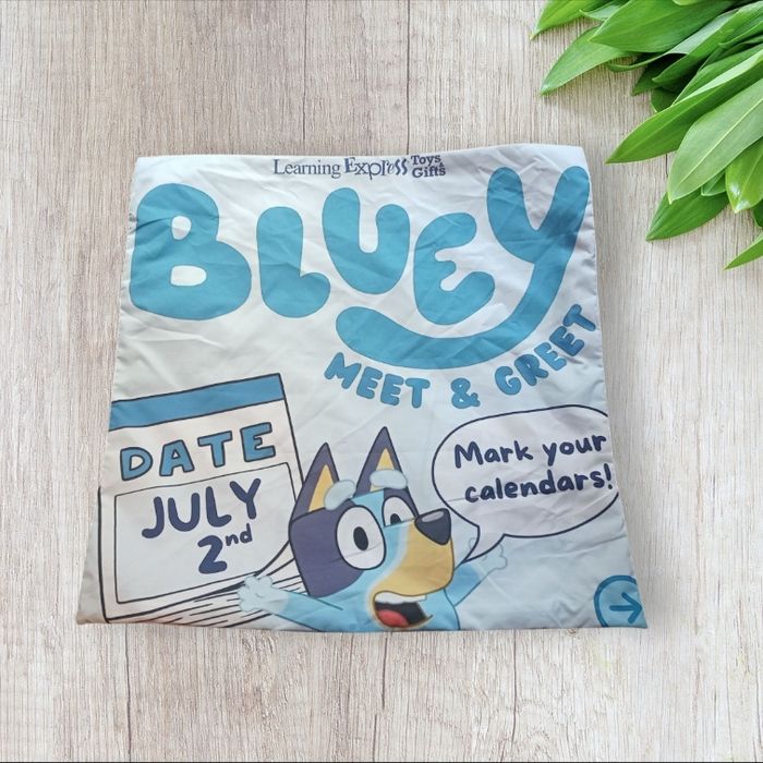 Housse de coussin bluey - photo numéro 3