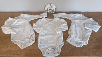 Lot 3 bodys beige/crème évolutif