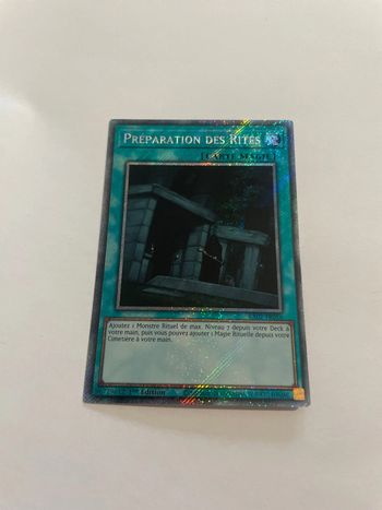 Yu-Gi-Oh! Préparation des Rites : PS RA02-FR056
