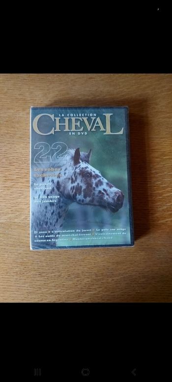 DVD