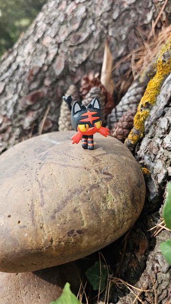 Super figurine Pokemon Nintendo flamiaou