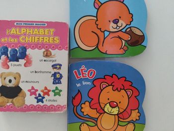3 livres bébé en carton