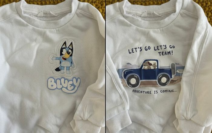 Lot 2 sweats MANGO 18-24 mois (92cm) - dont 1 BLUEY ! - photo numéro 1