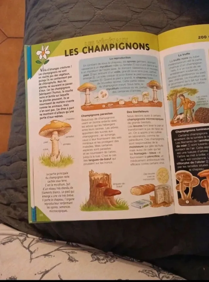 Encyclopédie La classe nature 7/9 ans bon état - photo numéro 4