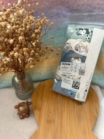 🩲 Lot de 5 slips Bluey pour enfant – Taille 4/6 ans 🩲