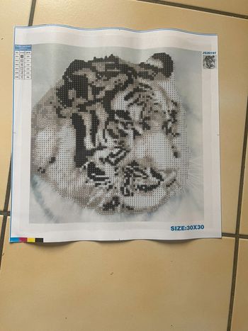 Toile partielle Diamond Painting 30x30cm n°08