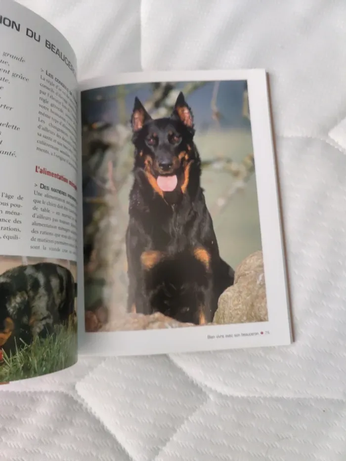 Livre sur le chien beauceron - photo numéro 2