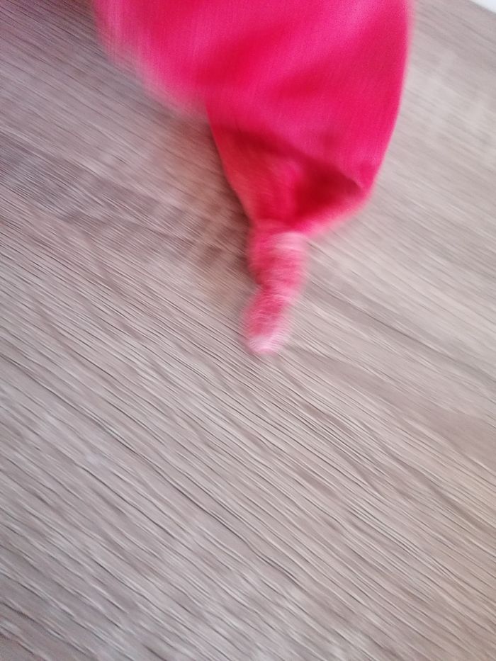 3 poupées souple Corolle - photo numéro 7