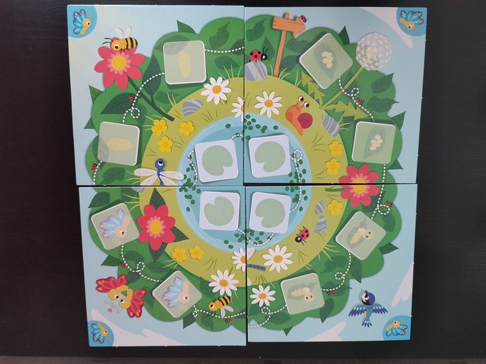 Jeu éducatif Bioviva - Petit devient Grand - Complet - Cycle de vie
- photo numéro 3
