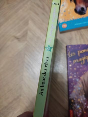 Livre les poneys magiques au bout des rêves
