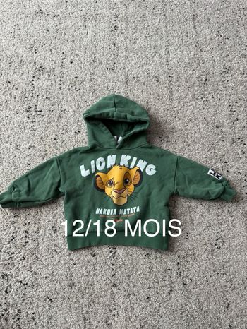 Pull garçon 12/18 mois