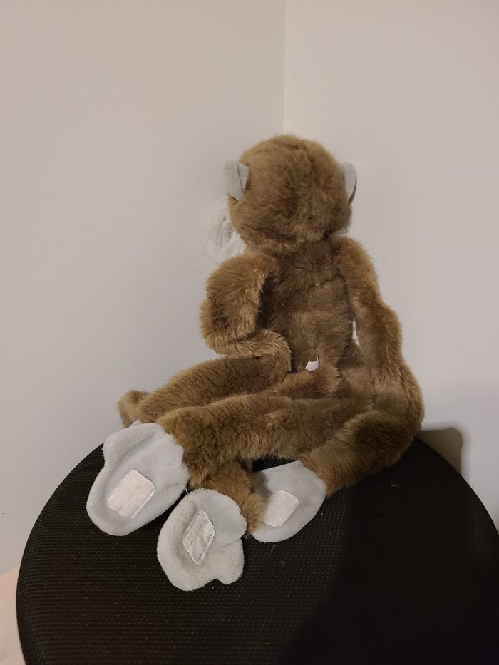 singe - photo numéro 2