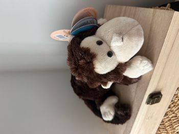 Peluche singe hilare Ce petit singe sympathique se tort de rire lorsque vous actionnez le bouton sit