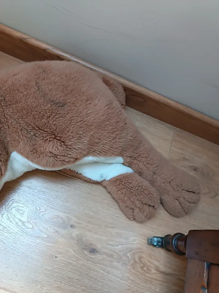 Peluche tigre - photo numéro 3