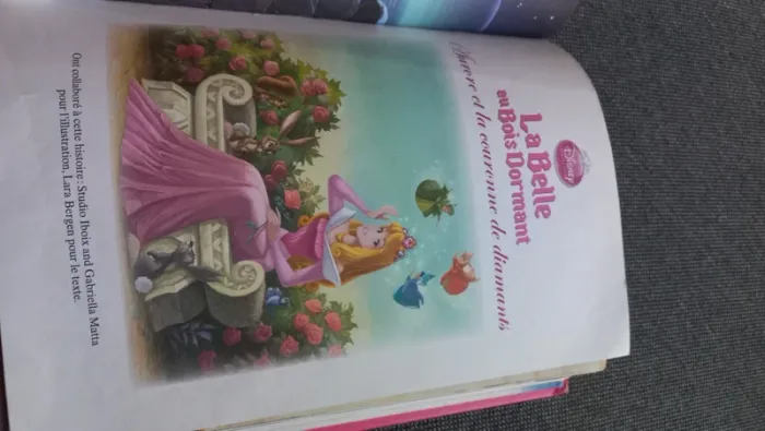 Livre histoires de princesse Disney. Princesses bijoux - photo numéro 5