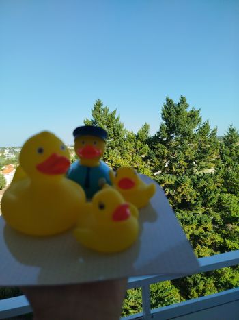 Jouet de bain