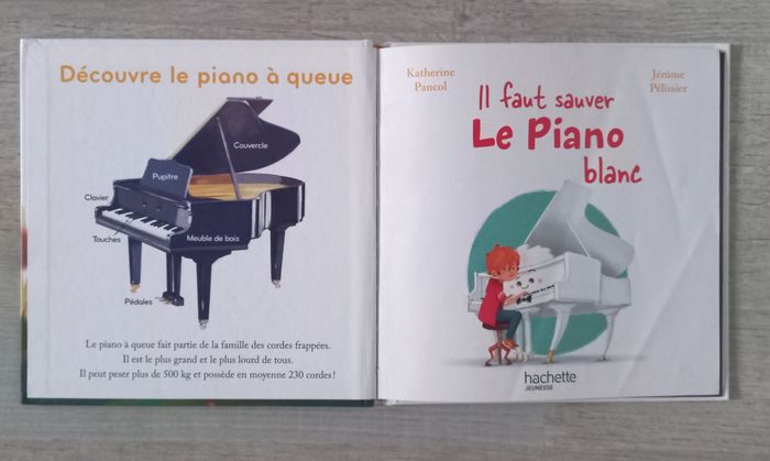 Il faut sauver le piano blanc - photo numéro 2