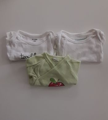 Bodies