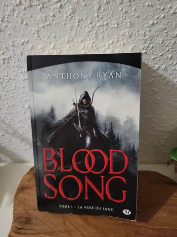 Livre "Blood Song" de Anthony Ryan