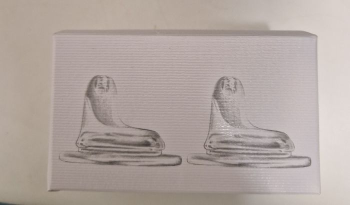 Becs de succion - photo numéro 2