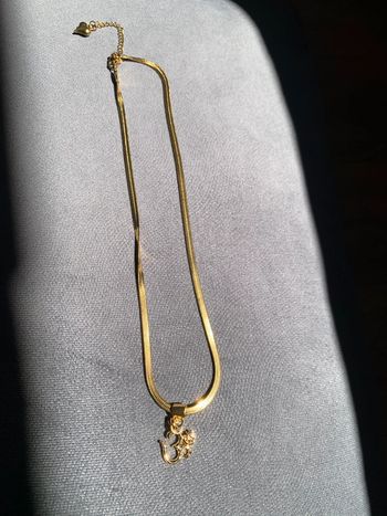 collier acier inoxydable doré