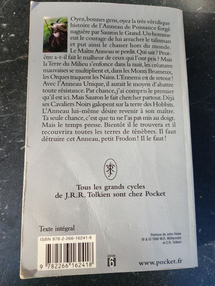 La communauté de l'anneau - photo numéro 2