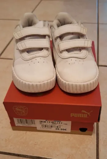 Basket puma