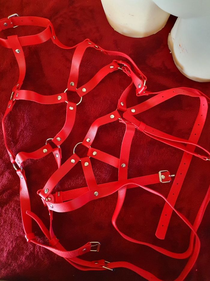 Ceinture de corps intégrale rouge festival bondage bdsm costume - photo numéro 4