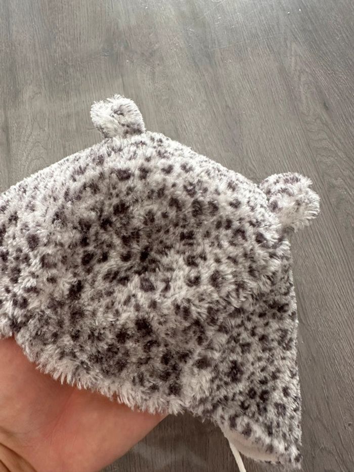 Bonnet - photo numéro 2