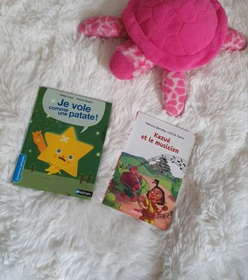 📚 Lot 2 petits livres 📚