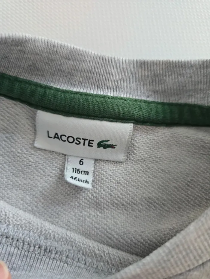Sweat lacoste gris - photo numéro 4
