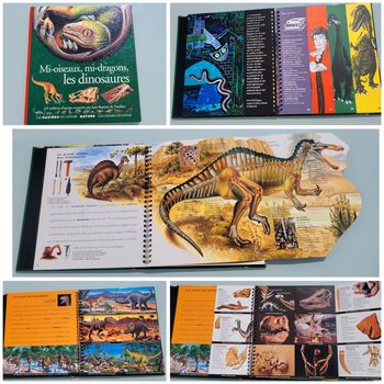 Livre animé de flaps Mi-oiseaux, mi-dragons, les dinosaures, Gallimard Jeunesse (47)