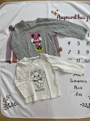Lot de 2 t-shirts manches longues – Disney Baby – Taille 18 mois
