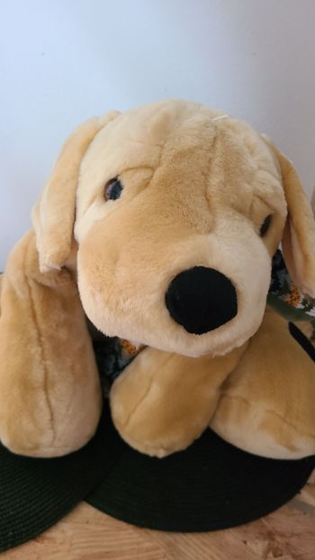 Peluche chien vintage Commonwealth 2004