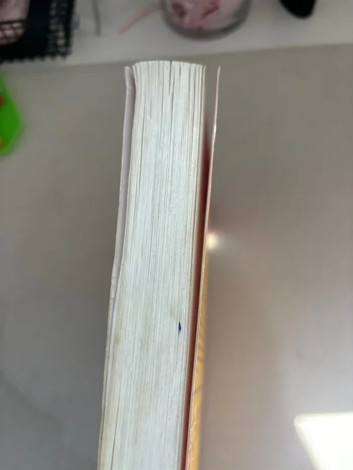 Livre journal d’un dégonflé tome 4 - photo numéro 4